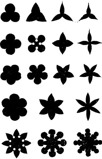 Fig. XVIII. Fig. XVIII.