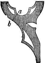 Fig. XXII. Fig. XXII.