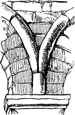 Fig. XXXIV. Fig. XXXIV.