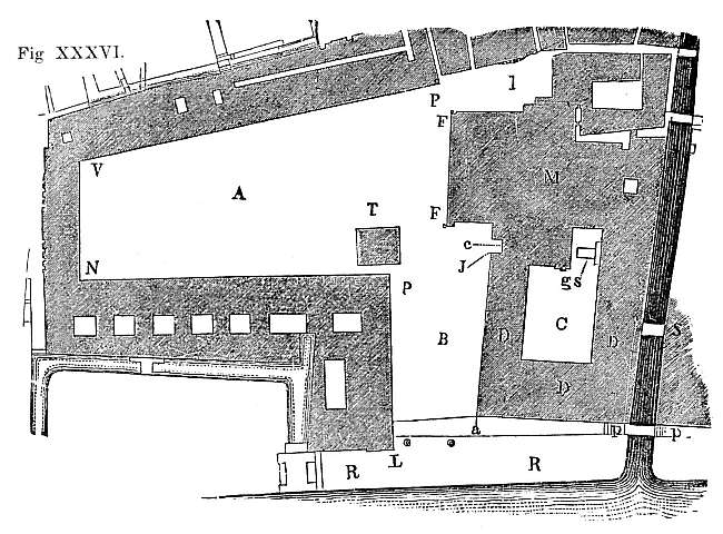 Fig. XXXVI. Fig. XXXVI.