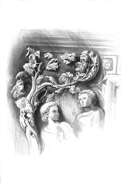 LEAFAGE OF THE VINE ANGLE. LEAFAGE OF THE VINE ANGLE.