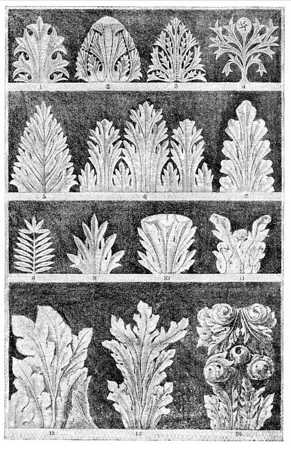 LEAFAGE OF THE VENETIAN CAPITALS. LEAFAGE OF THE VENETIAN CAPITALS.