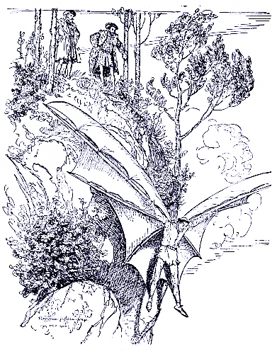 “With a wild scream Farini endeavoured to support
himself with his gauze-like wings.”