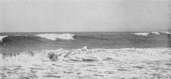 The Pacific

