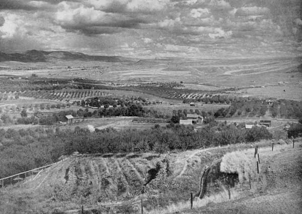 A valley of Washington. "The big Westland smiles and
receives them all"
