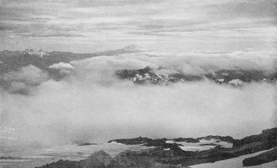 Looking across the clouds to Mount Adams from the flanks
of Rainier
