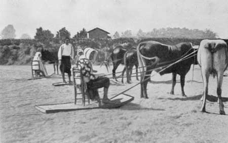 Fig. 2.&mdash;Threshing Corn with Native Threshing Board.
