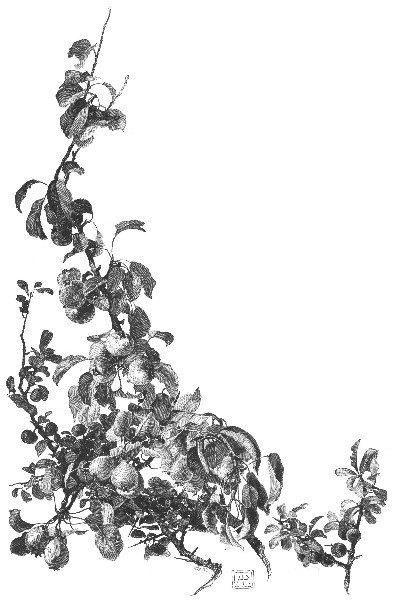 "THE HEDGE-ROWS WERE FULL, AS THEY ARE TO THIS DAY, OF
WILD APPLES, WILD PEARS, AND 'CRABS.'"