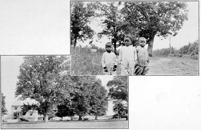 1. Three Young Virginians. 2. An Old Homestead on
Tidewater, Va.