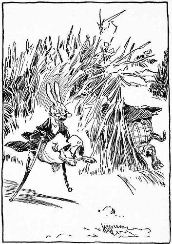 "MY TWENTY-FIRST GREAT-GREAT-GRANDFATHER COULD NOT RUN
VERY FAST."