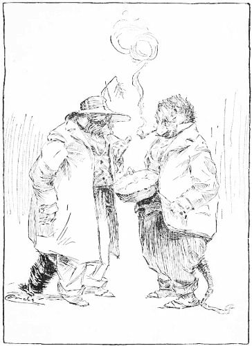 "OH," SAID MR. 'COON, "I HOPE YOU'RE NOT GOING TO CUT
THEM."