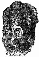 Fig. 6.&mdash;"The Clay Sarcophagus on Yonder Barn."