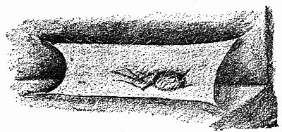 Fig. 15.&mdash;"Having Overspun Themselves."