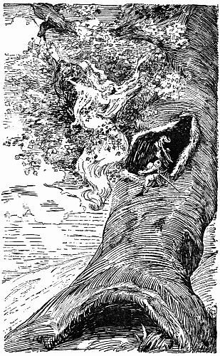 Fig. 26.&mdash;Captain Bruce Appeals to Madame Breeze.