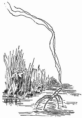 Fig. 66.&mdash;Tetragnatha: "The Floating Filaments Act as Sails."