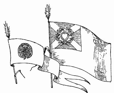 Fig. 79.&mdash;Brownie Flag and Pennant.