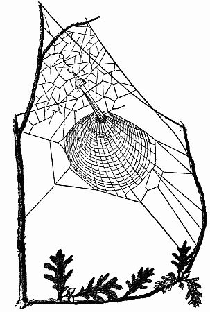 Fig. 95.&mdash;The Labyrinth.