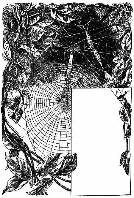 Fig. 100.&mdash;Labyrinthea's Snare and Cocoons. Where is Dodge's Jail?