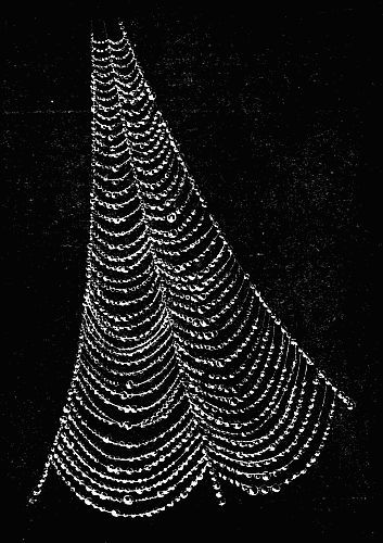 Fig. 148.&mdash;A Dew-Laden Web.