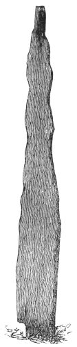 EGIL WOOLSARK'S
MONUMENT OR BAUTASTONE AT FREINESS.