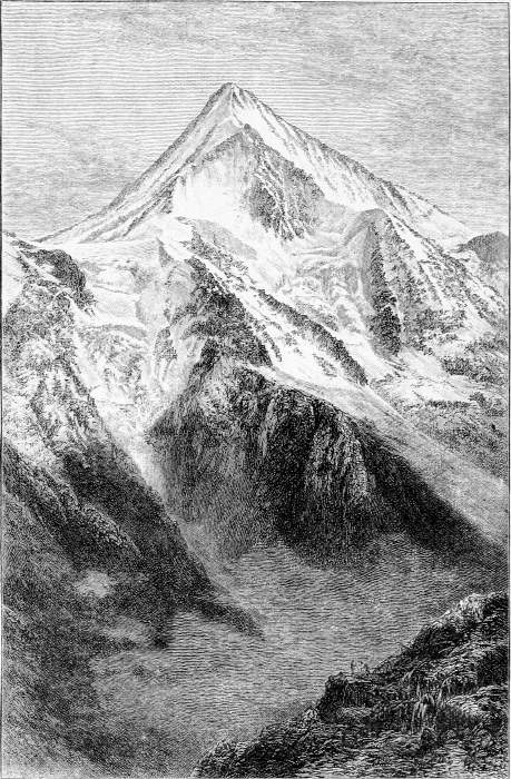 THE BIETSCHHORN. FROM THE PETERSGRAT The Bietschhorn. From the Petersgrad