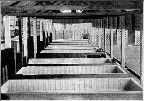 A
'Battery' of Sheeting Tanks (Pataling Estate)