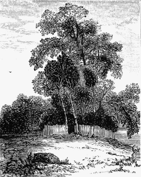 INCHMAHOME,

The Child-Queen's child garden, with her little walk and its boxwood,
left to itself for three hundred years. Yes, without doubt, 'Here is the
first garden of her simpleness.'