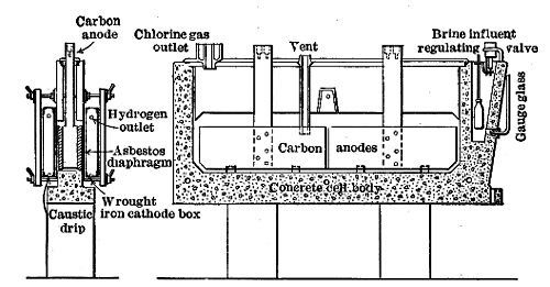Sections of Allen-Moore
Cell