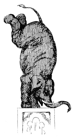 "When the Elephant stands upon his Head, does he
himself know whether he is standing upon his
Head or his Heels?" "George Cruikshank's
Magazine," February 1854.