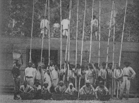 Fig. 40.&mdash;Native Cocoa Pickers. Ceylon.
(Permission of Walter Baker & Co., Ltd.)