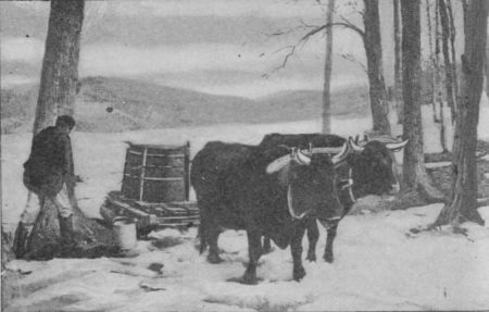 Fig. 29.&mdash;Oxen hauling Sap.