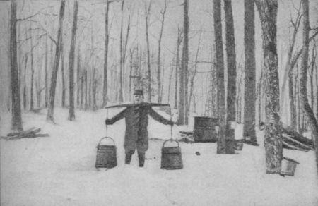 Fig. 30.&mdash;Sap-yoke and Pails for gathering Sap.