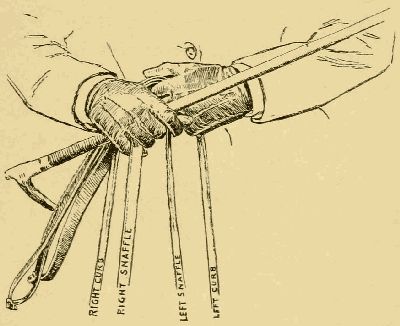 POSITION OF REINS AND HANDS IN JUMPING, CURB OUTSIDE,
SNAFFLE INSIDE