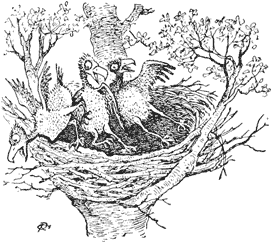 Eagle&lsquo;s nest