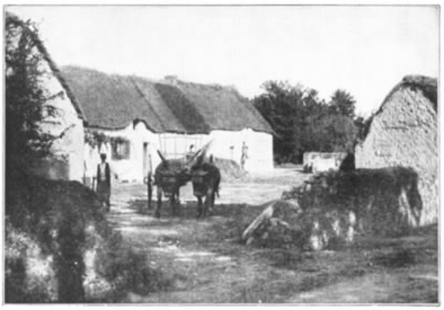 A GROUP OF TYPICAL THATCH ROOFED HOUSES IN A LITTLE
FRENCH VILLAGE