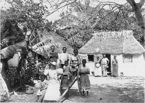 A NATIVE HUT.
FROM A PHOTOGRAPH BY J. F. COONLEY, NASSAU, N. P.