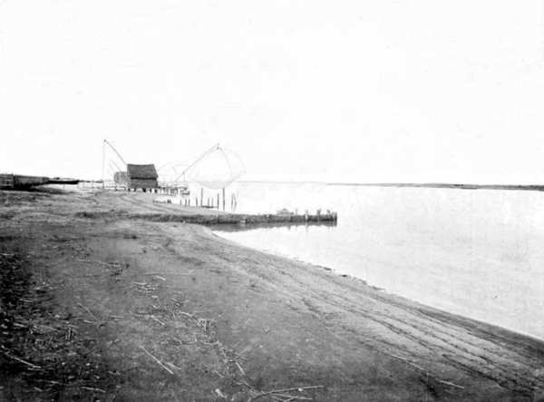 MARINA DI PISA &mdash; FOCE DELL'ARNO. (Fot. I. I. d'Arti Grafiche).