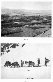 Fig. 6—Irrigated Chili Valley on the outskirts of
Arequipa. The lower slopes of El Misti are in the left background. The
Alto de los Huesos or Plateau of Bones lies on the farther side of the
valley.