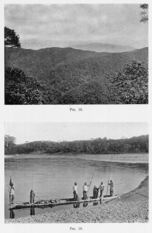 Fig. 15—Topography and vegetation from the Tocate pass,
7,100 feet (2,164 m.), between Rosalina and Pongo de Mainique. See
Fig. 53a. This is in the zone of maximum rainfall. The cumulo-nimbus clouds
are typical and change to nimbus in the early afternoon.