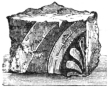 Fig. 11.&mdash;Enamelled Babylonian Brick. (Louvre.)