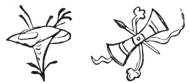 Fig. 79.&mdash;Celosia.
Fig. 80.&mdash;Treasures of Writing.