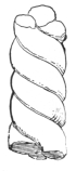Fig. 411.&mdash;Handle of Twisted Clay.