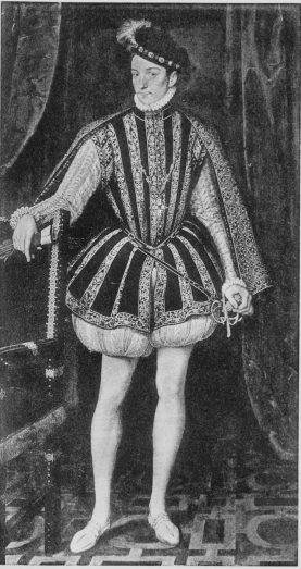 Plate LXIII.

Photo. Hanfstaengl.

CHARLES IX.

François Clouet. About 1569.

Vienna Gallery.

To face page 230.