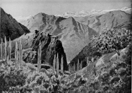 THE QUDSHANIS MOUNTAINS.

From the village of Shwawutha, the scene of the incident related on p.
263. The Zab river is just visible at the foot of the glen, and beyond
it rises the great mass of the Kokobuland Dagh. Qudshanis lies just
below the snow line, at the head of the lateral valley opposite.

No. 10