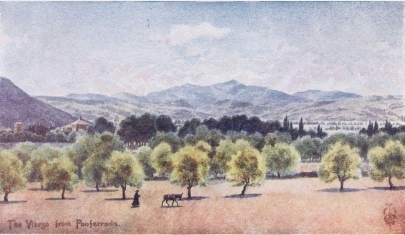 THE VIERZO

From Ponferrada, looking towards the Pass of Piedrafita.