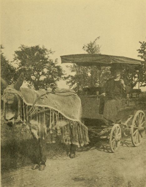 photograph