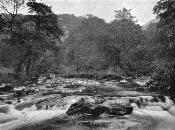 A Typical Devon Stream&mdash;Watersmeet, Lynmouth