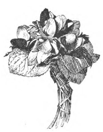 0293m