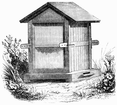 Fig. 314.&mdash;Bee-hive in Leaves.