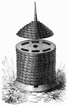 Fig. 325.&mdash;Bell-shaped hive.